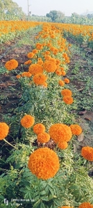 ఫోటో 2