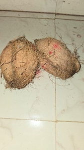 തേങ്ങാ ചിരട്ടകൾ