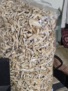 ഫോട്ടോ 3