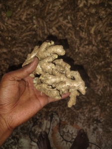 ഫോട്ടോ 2