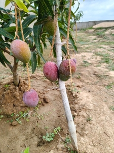 படம் 2