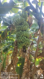 ഫോട്ടോ 2