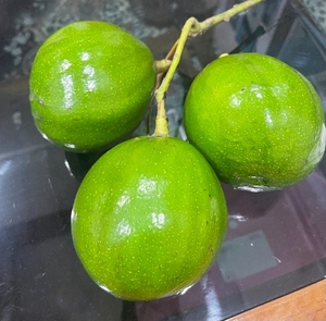 ಫೋಟೋ 2