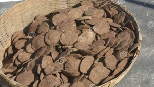 ചാണകം