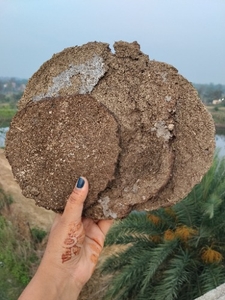ഫോട്ടോ 3