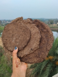 ഫോട്ടോ 4