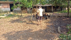 മുട്ടകൾ
