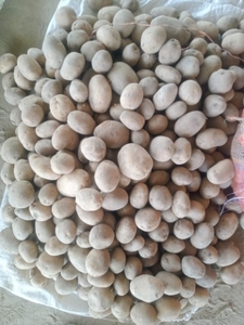 படம் 2