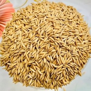 നെല്ല്