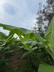 ఫోటో 2