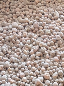 ಆಲೂಗಡ್ಡೆ