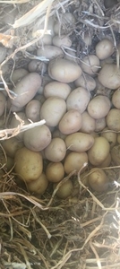படம் 4