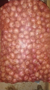 ಈರುಳ್ಳಿ