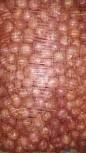 ഫോട്ടോ 2
