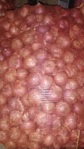 ഫോട്ടോ 3