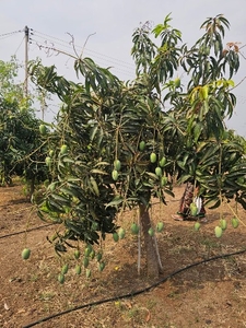 ಫೋಟೋ 2