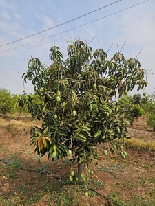 ಫೋಟೋ 3