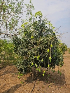 ಫೋಟೋ 4