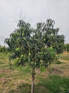 ಫೋಟೋ 5
