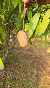 ఫోటో 2