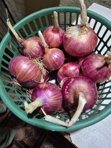 ಫೋಟೋ 2