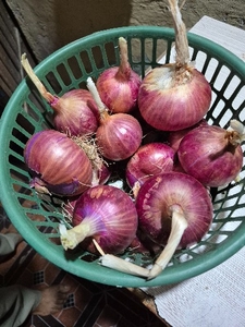 ಫೋಟೋ 3