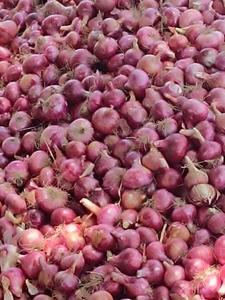 ഉള്ളി