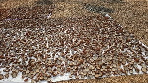 ഫോട്ടോ 4
