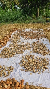 ഫോട്ടോ 5