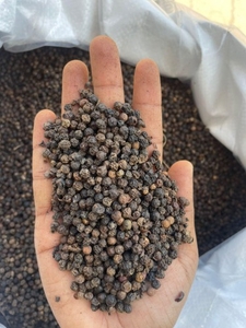 Black Pepper