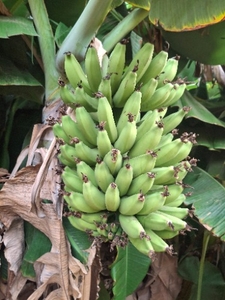 ఫోటో 3