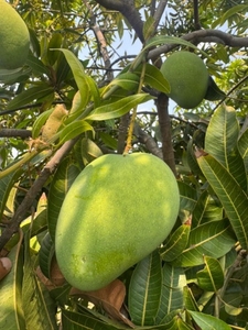 ഫോട്ടോ 2