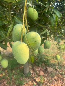 ഫോട്ടോ 3