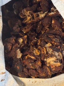 പുളി
