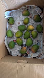 ഫോട്ടോ 2