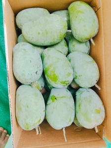 మామిడి