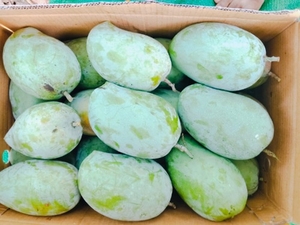 ഫോട്ടോ 2