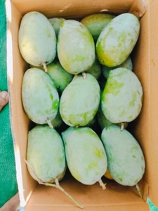 ഫോട്ടോ 3