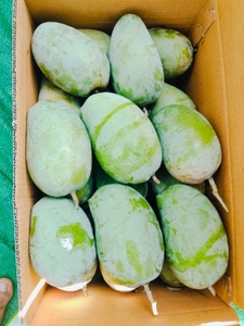 ഫോട്ടോ 4