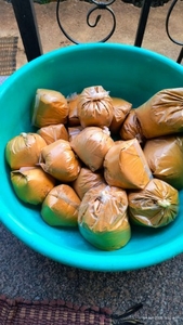 ಅರಿಶಿನ ಪುಡಿ
