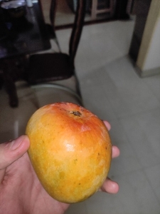 फोटो 2