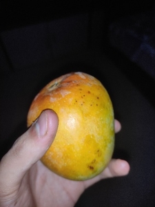 फोटो 3