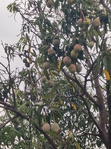 ഫോട്ടോ 2