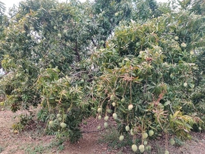 ഫോട്ടോ 3