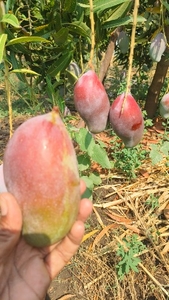 ഫോട്ടോ 3