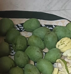 మామిడి పండ్లు