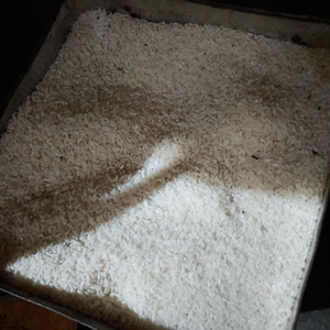 അരി
