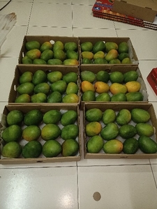 ఫోటో 2