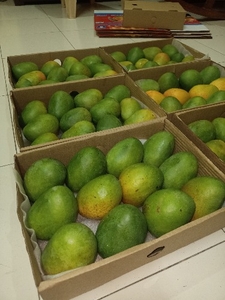 ఫోటో 3