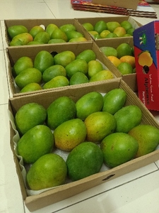 ఫోటో 4